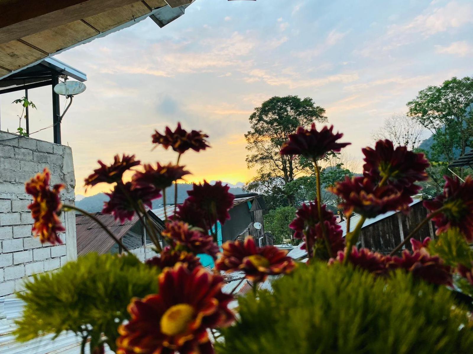Guayabo Hostal มินโด ภายนอก รูปภาพ